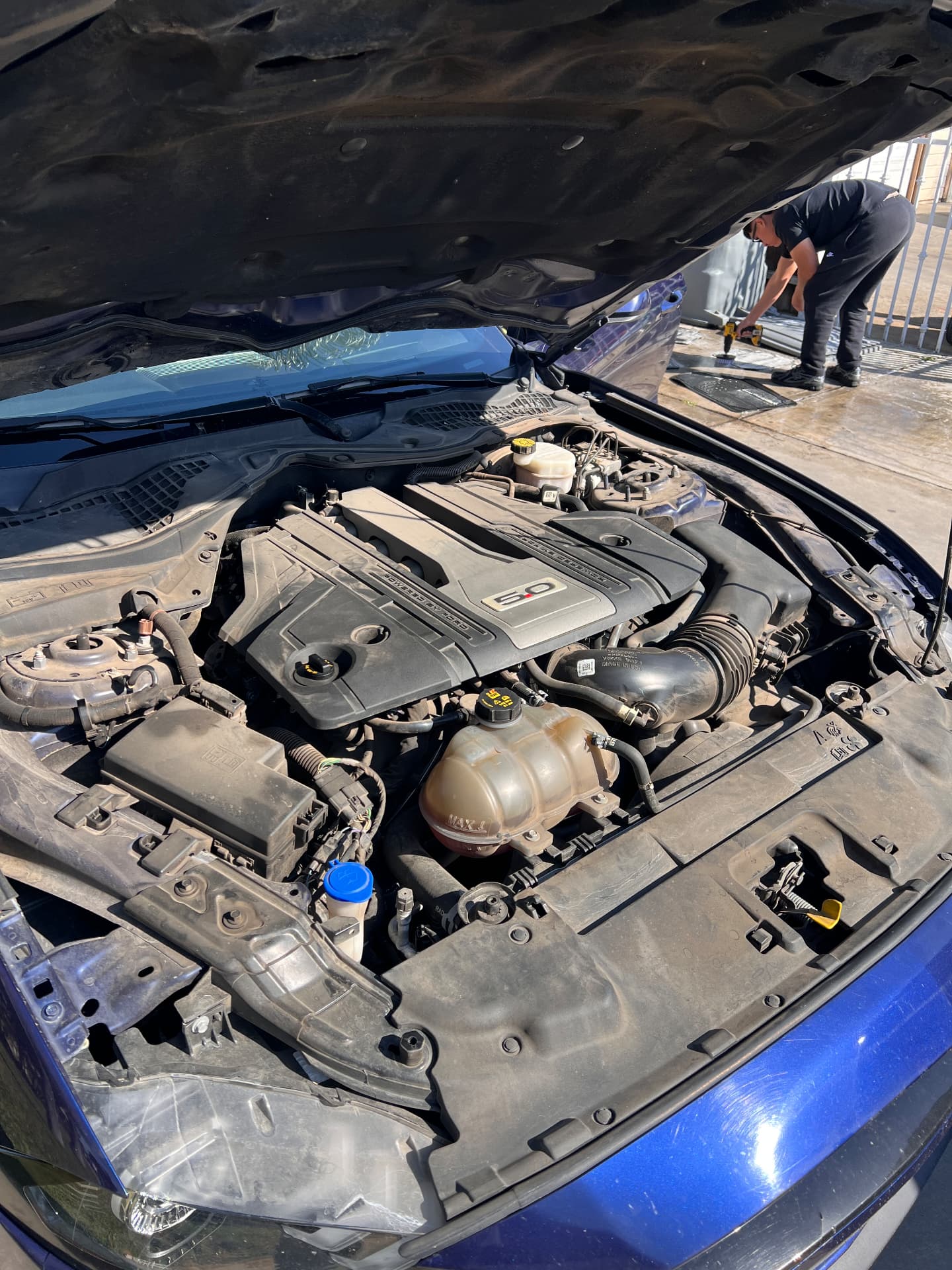 Dusty, faded Ford Mustang 5.0 engine bay before detailing