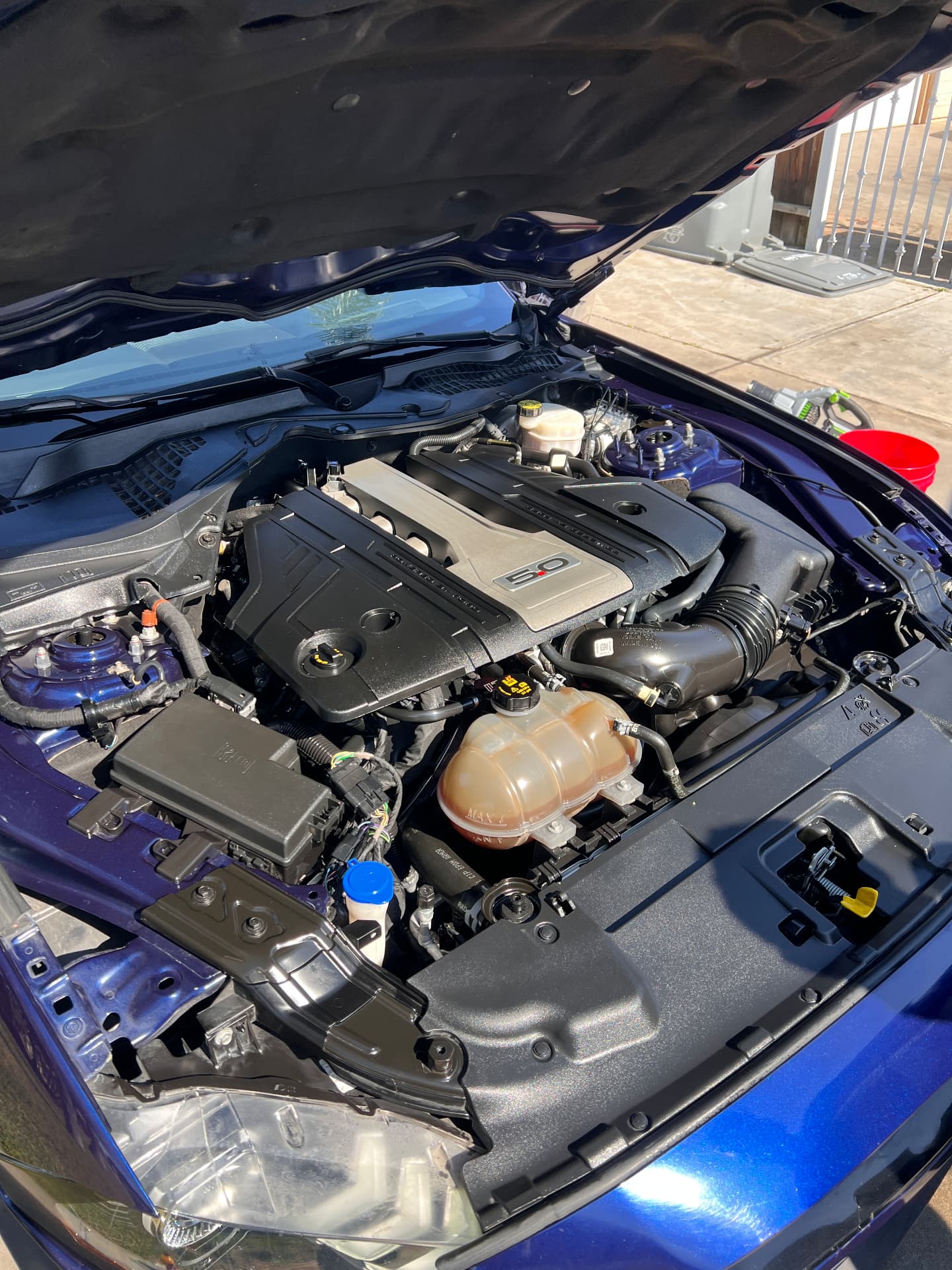 Same Mustang engine bay cleaned, dressed and restored to a like-new finish